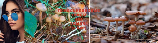 кокаин колумбия Абдулино