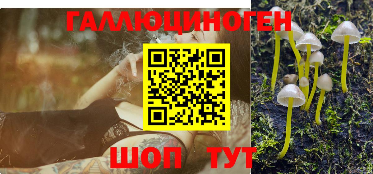 Псилоцибиновые грибы GOLDEN TEACHER  Вход с VPN  Приморско-Ахтарск 